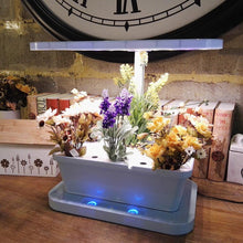 Afbeelding in Gallery-weergave laden, Keisue KES3.0 Hydrocultuur Smart Garden binnentuin met LED verlichting