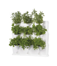 Afbeelding in Gallery-weergave laden, Minigarden Vertical - Starterset verticale tuin voor 9 planten