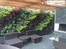 Afbeelding in Gallery-weergave laden, Minigarden Vertical - Starterset verticale tuin voor 9 planten
