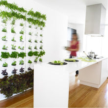 Afbeelding in Gallery-weergave laden, Minigarden Vertical Kitchen Garden complete set - verticale tuin voor 27 planten
