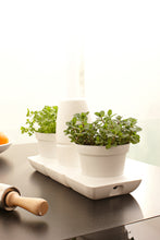 Afbeelding in Gallery-weergave laden, Minigarden Basic S (incl. 1L potten)