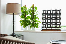 Afbeelding in Gallery-weergave laden, Minigarden Basic M (incl. 2,5L potten)