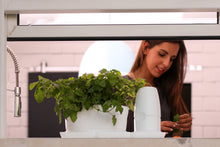 Afbeelding in Gallery-weergave laden, Minigarden Basic Uno (incl. 1.5L pot)