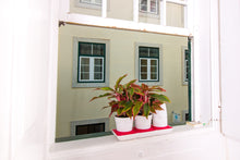 Afbeelding in Gallery-weergave laden, Minigarden Basic S kleurringen