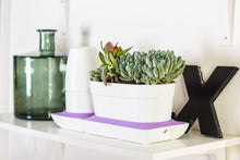 Afbeelding in Gallery-weergave laden, Minigarden Basic Uno kleurringen