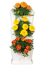 Afbeelding in Gallery-weergave laden, Minigarden ONE starterset - verticale tuin voor 3 planten