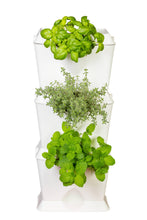 Afbeelding in Gallery-weergave laden, Minigarden ONE starterset - verticale tuin voor 3 planten
