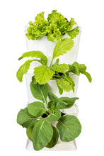 Afbeelding in Gallery-weergave laden, Minigarden ONE starterset - verticale tuin voor 3 planten