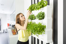Afbeelding in Gallery-weergave laden, Minigarden ONE starterset - verticale tuin voor 3 planten