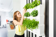 Afbeelding in Gallery-weergave laden, Minigarden Muurbevestigingsteun voor Basic, Vertical en ONE systeem