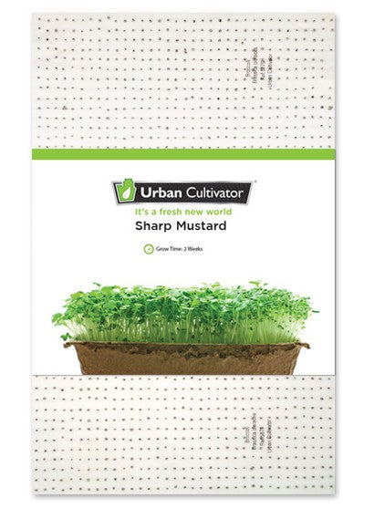 Scherpe Mosterd -zaad voor Urban Cultivator Commercieel (vooringezaaid)