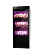 Afbeelding in Gallery-weergave laden, Keisue KES1.0 Hydrocultuur Smart Garden voor salades en kruiden