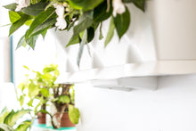 Afbeelding in Gallery-weergave laden, Minigarden Muurbevestigingsteun voor Basic, Vertical en ONE systeem