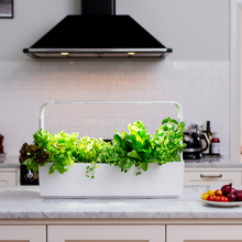 Afbeelding in Gallery-weergave laden, Tregren T12 Kitchen Garden Wit