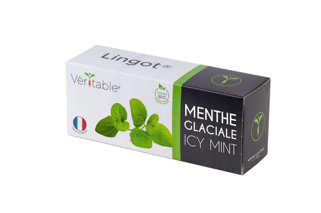 Véritable® Lingot® Organic Icy Mint - BIO MINTIGE MUNT navulling voor alle Véritable® binnenmoestuin-toestellen
