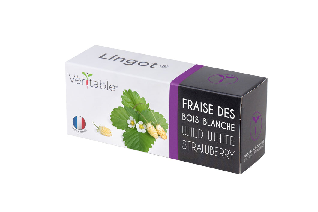 Véritable® Lingot® White wild strawberry - WITTE WILDE AARDBEI navulling voor alle Véritable® binnenmoestuin-toestellen