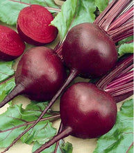 Afbeelding in Gallery-weergave laden, Minigarden Rode Biet