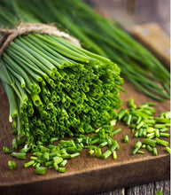 Afbeelding in Gallery-weergave laden, Minigarden Bieslook