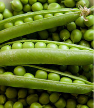 Afbeelding in Gallery-weergave laden, Minigarden Erwten