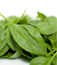 Afbeelding in Gallery-weergave laden, Minigarden Spinazie