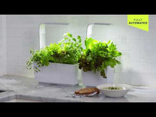 Charger et lire la vidéo dans la visionneuse de la Galerie, Tregren T3 Kitchen Garden Potager Blanc
