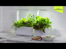 Video laden en afspelen in Gallery-weergave, Tregren T6 Kitchen Garden Wit