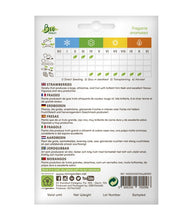 Afbeelding in Gallery-weergave laden, Minigarden Aardbei