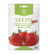 Afbeelding in Gallery-weergave laden, Minigarden Aardbei