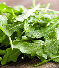 Afbeelding in Gallery-weergave laden, Minigarden Rucola