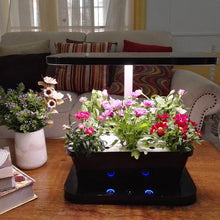 Véritable® GARDEN SMART - avec technologie LED ADAPT'LIGHT - Potager  d'intérieur de cuisine, comprenant 4 Lingots® de recharge fines herbes -  SOFT