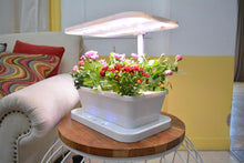 Charger l&#39;image dans la galerie, Keisue KES3.0 Hydroponics Smart Garden Jardinière avec éclairage LED

