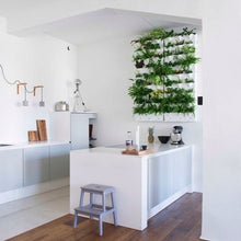 Afbeelding in Gallery-weergave laden, Minigarden Vertical Kitchen Garden complete set - verticale tuin voor 27 planten
