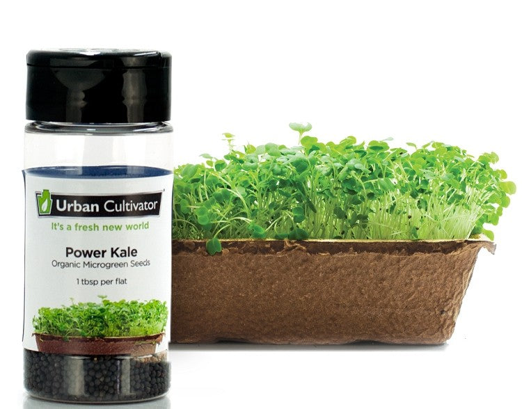 Kale-zaad voor Urban Cultivator (42 gr)