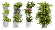 Afbeelding in Gallery-weergave laden, Minigarden Corner starterset - verticale tuin voor 3 planten
