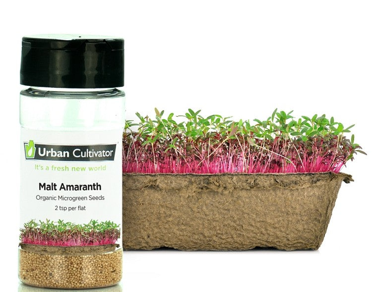 Amarant -zaad voor Urban Cultivator (26 gr)
