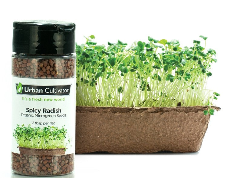 Radijs pikant -zaad voor Urban Cultivator (90 gr)