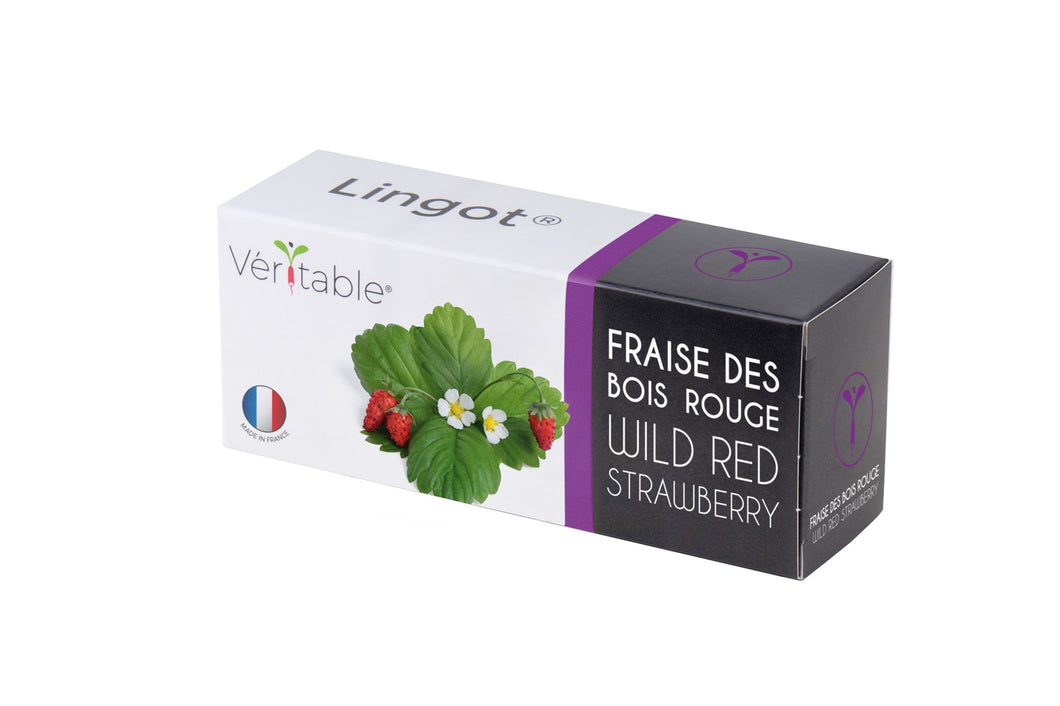 Véritable® Lingot® Red wild strawberry - RODE WILDE AARDBEI navulling voor alle Véritable® binnenmoestuin-toestellen