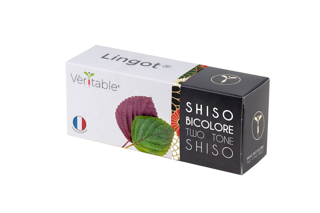 Véritable® Lingot® Bi-Color Shiso - AZIATISCHE TWEEKLEURIGE SHISO navulling voor alle Véritable® binnenmoestuin-toestellen